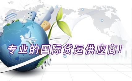 上海骐飞国际货运代理有限公司